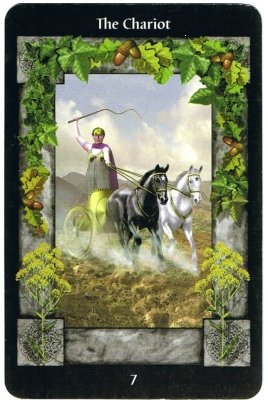 Picture of the Chariot Card