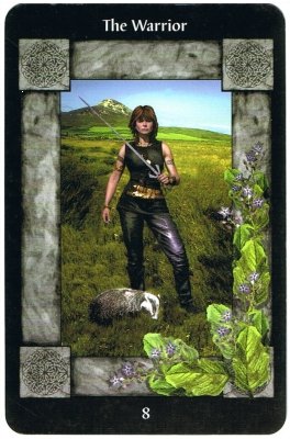 Picture of the Warrior Card