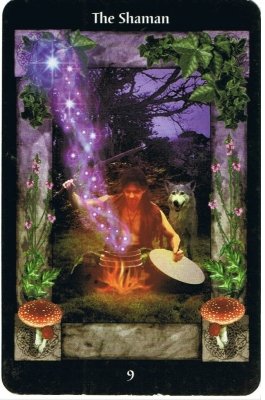 Picture of the Shaman Card