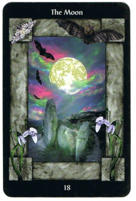 Picture of the Moon Card