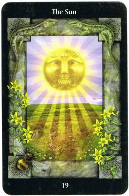 Picture of the Sun Card