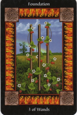 Picture of the 3 of Wands Card