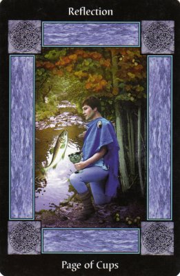 Picture of the Page of Cups Card