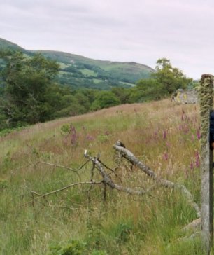 Picture with a signpostpartiallt hidden symbolising the hidden messages in visualisations and dreams.